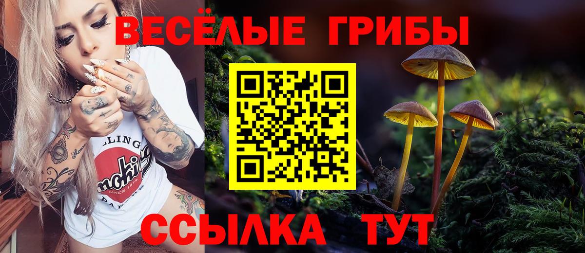 Псилоцибиновые грибы Psilocybine cubensis Новодвинск